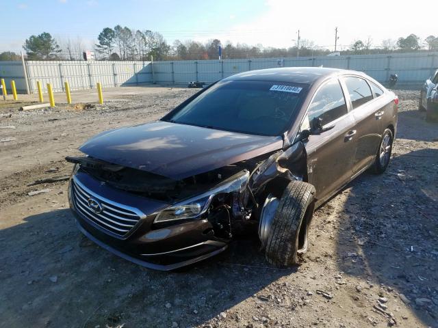 Photo 1 VIN: 5NPE24AF7GH359563 - HYUNDAI SONATA SE 