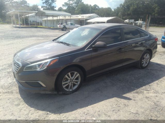 Photo 1 VIN: 5NPE24AF7GH368750 - HYUNDAI SONATA 