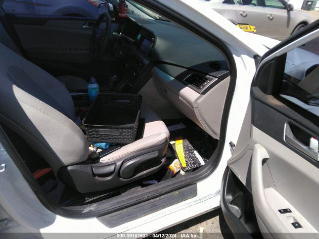 Photo 4 VIN: 5NPE24AF7GH380137 - HYUNDAI SONATA 