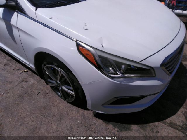 Photo 5 VIN: 5NPE24AF7GH380137 - HYUNDAI SONATA 