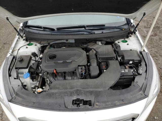 Photo 10 VIN: 5NPE24AF7GH387783 - HYUNDAI SONATA 