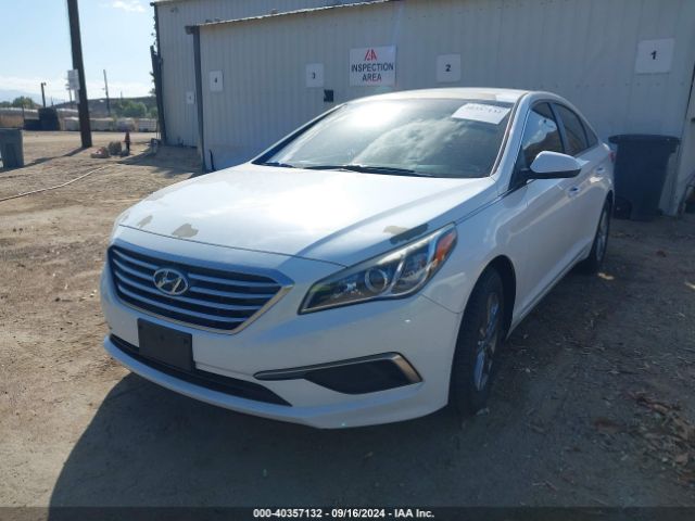 Photo 1 VIN: 5NPE24AF7GH391378 - HYUNDAI SONATA 