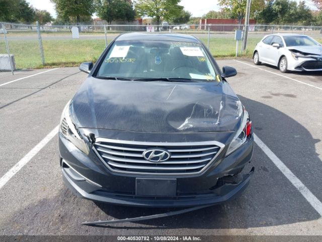 Photo 5 VIN: 5NPE24AF7GH406817 - HYUNDAI SONATA 