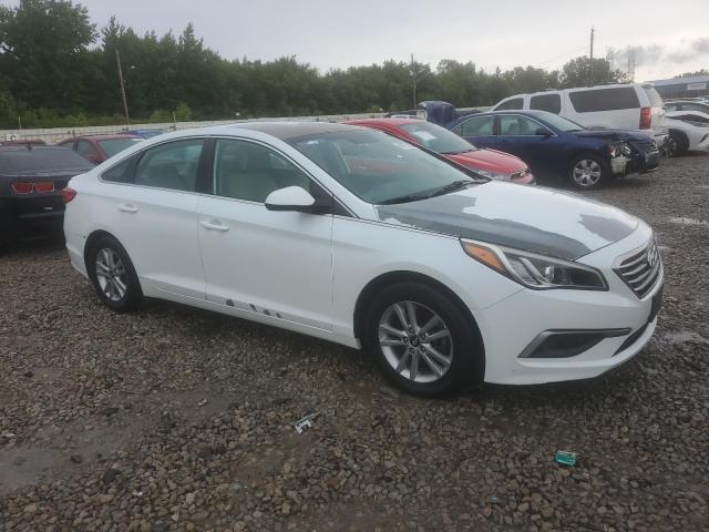 Photo 3 VIN: 5NPE24AF7HH444176 - HYUNDAI SONATA SE 