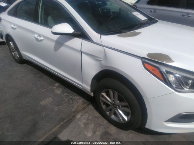 Photo 5 VIN: 5NPE24AF7HH458725 - HYUNDAI SONATA 