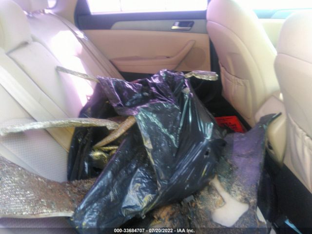 Photo 7 VIN: 5NPE24AF7HH496424 - HYUNDAI SONATA 