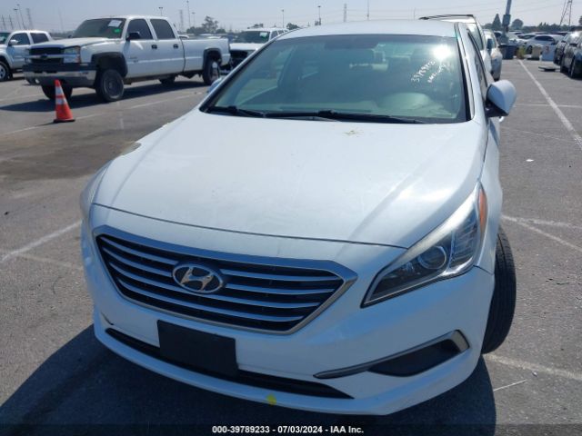 Photo 5 VIN: 5NPE24AF7HH497704 - HYUNDAI SONATA 