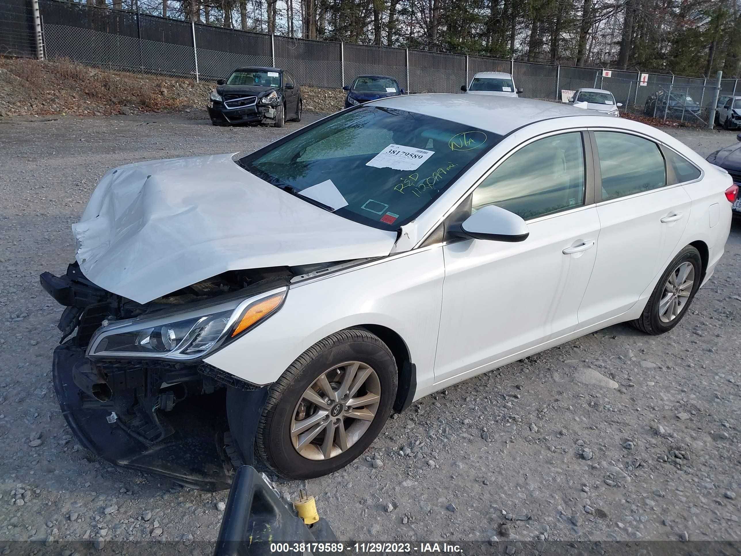 Photo 1 VIN: 5NPE24AF7HH499923 - HYUNDAI SONATA 