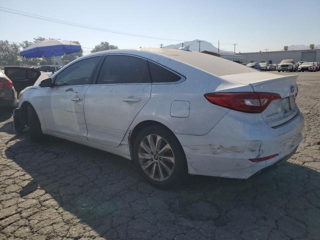 Photo 1 VIN: 5NPE24AF7HH507423 - HYUNDAI SONATA SE 