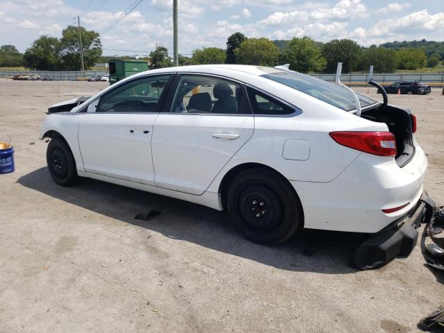 Photo 1 VIN: 5NPE24AF7HH509303 - HYUNDAI SONATA SE 