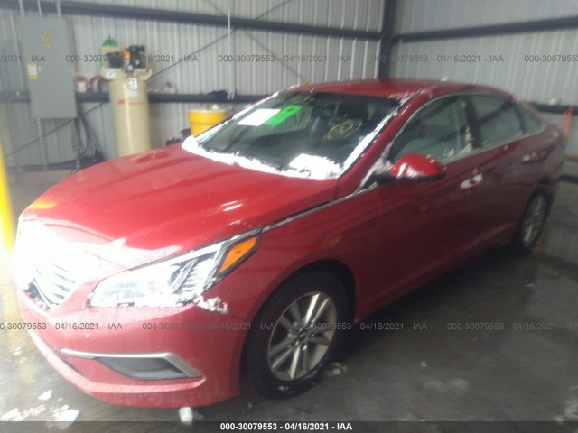 Photo 1 VIN: 5NPE24AF7HH511844 - HYUNDAI SONATA 