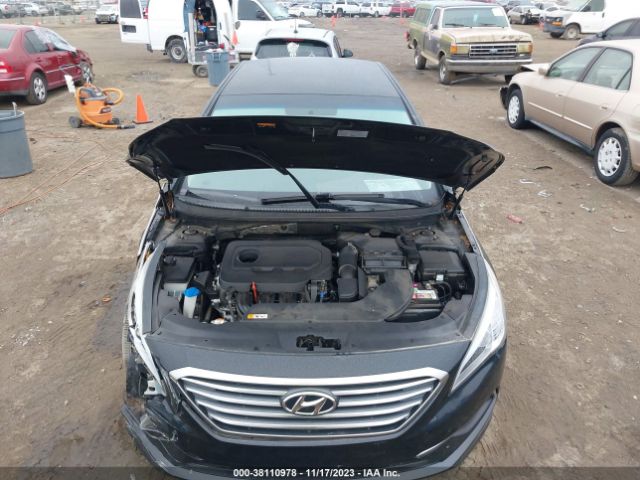 Photo 9 VIN: 5NPE24AF7HH513352 - HYUNDAI SONATA 