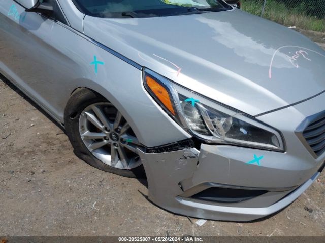 Photo 5 VIN: 5NPE24AF7HH516655 - HYUNDAI SONATA 