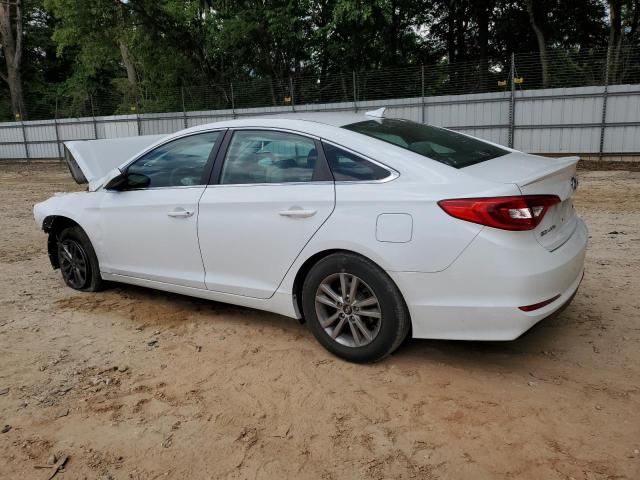 Photo 1 VIN: 5NPE24AF7HH518230 - HYUNDAI SONATA 