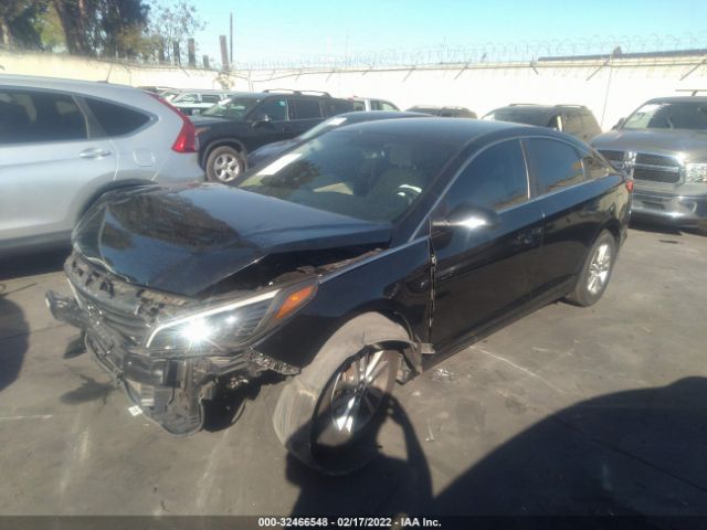 Photo 1 VIN: 5NPE24AF7HH524318 - HYUNDAI SONATA 