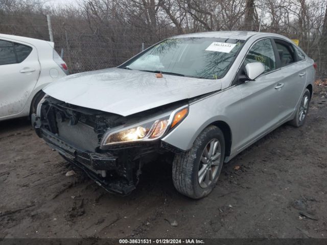 Photo 5 VIN: 5NPE24AF7HH531799 - HYUNDAI SONATA 