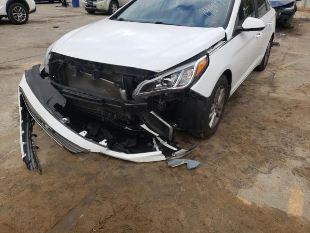 Photo 8 VIN: 5NPE24AF7HH544505 - HYUNDAI SONATA SE 