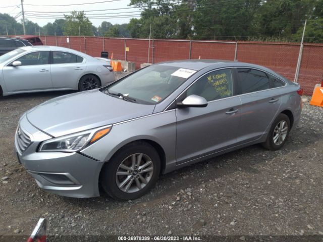 Photo 1 VIN: 5NPE24AF7HH549090 - HYUNDAI SONATA 