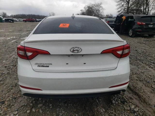 Photo 5 VIN: 5NPE24AF7HH566939 - HYUNDAI SONATA SE 