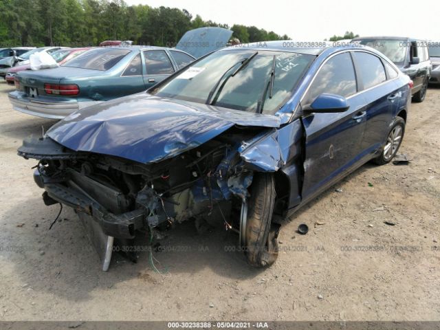 Photo 5 VIN: 5NPE24AF7HH567931 - HYUNDAI SONATA 