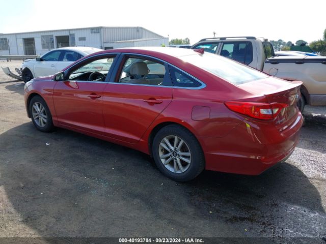 Photo 2 VIN: 5NPE24AF7HH570926 - HYUNDAI SONATA 