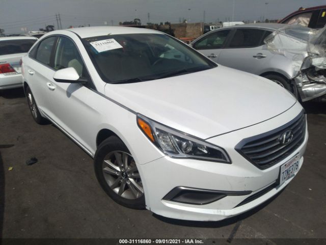 Photo 5 VIN: 5NPE24AF7HH575057 - HYUNDAI SONATA 