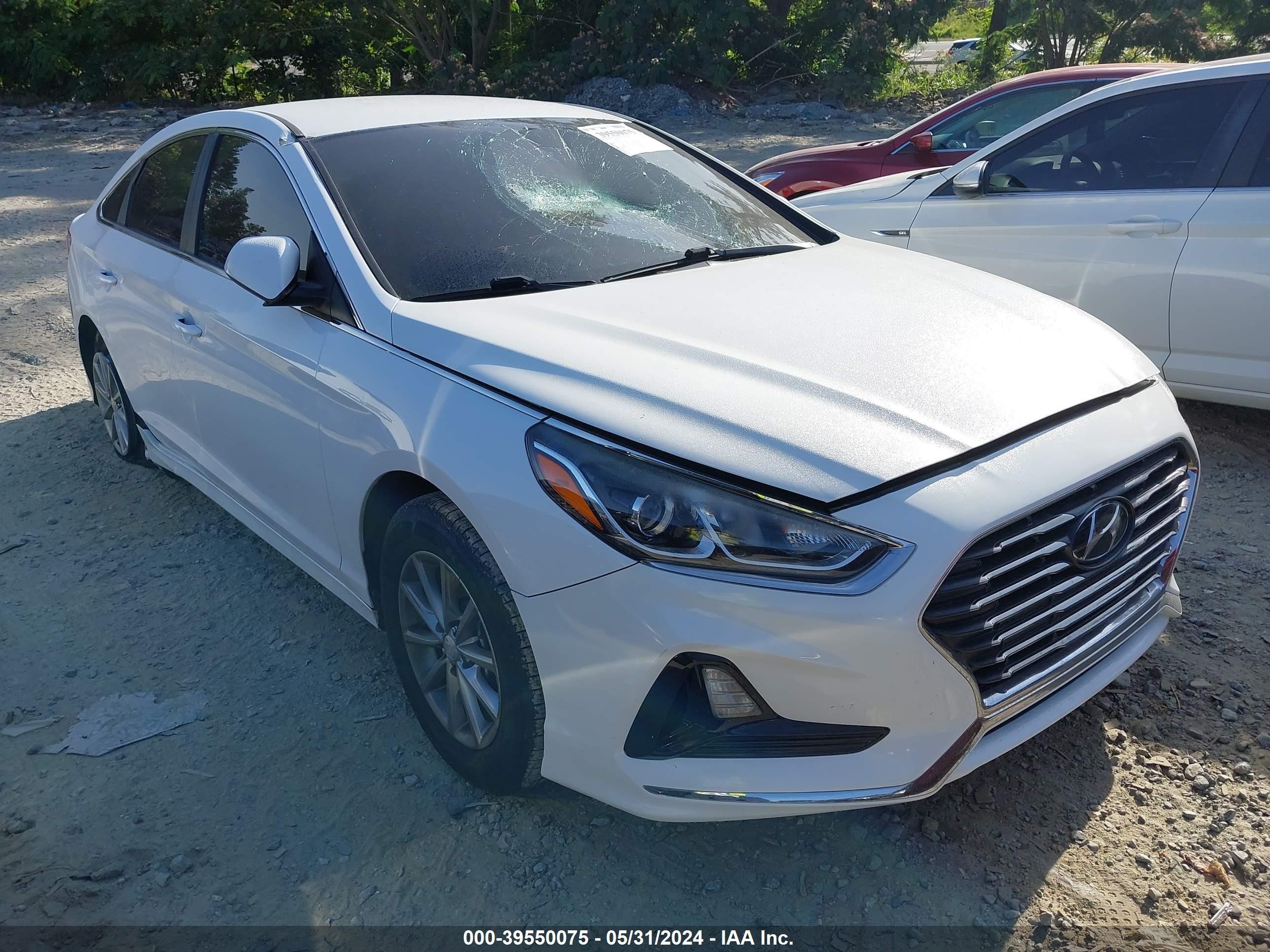 Photo 12 VIN: 5NPE24AF7JH601226 - HYUNDAI SONATA 