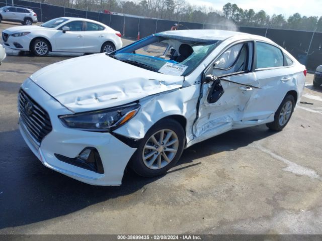 Photo 1 VIN: 5NPE24AF7JH709782 - HYUNDAI SONATA 