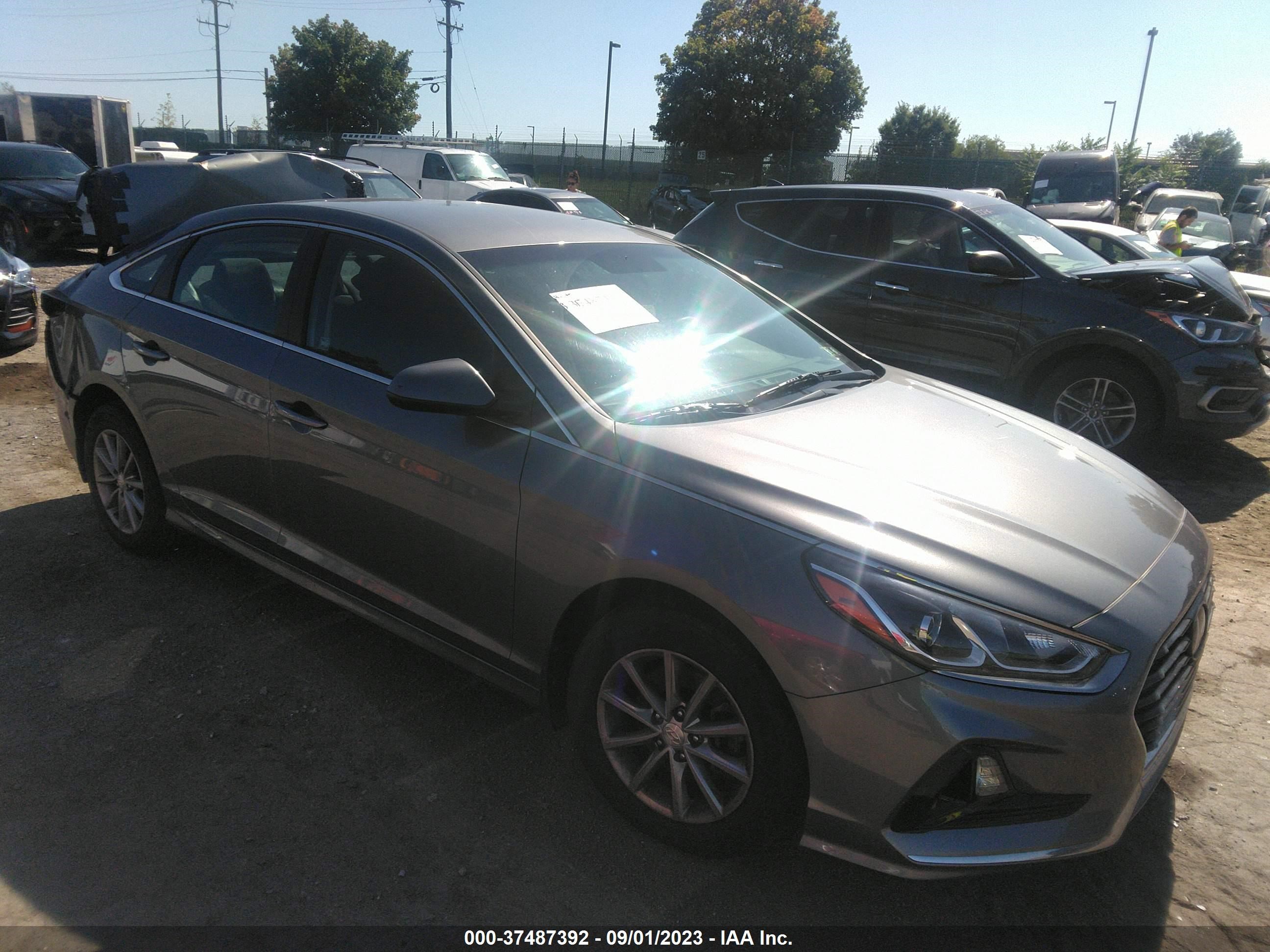 Photo 0 VIN: 5NPE24AF7KH734019 - HYUNDAI SONATA 