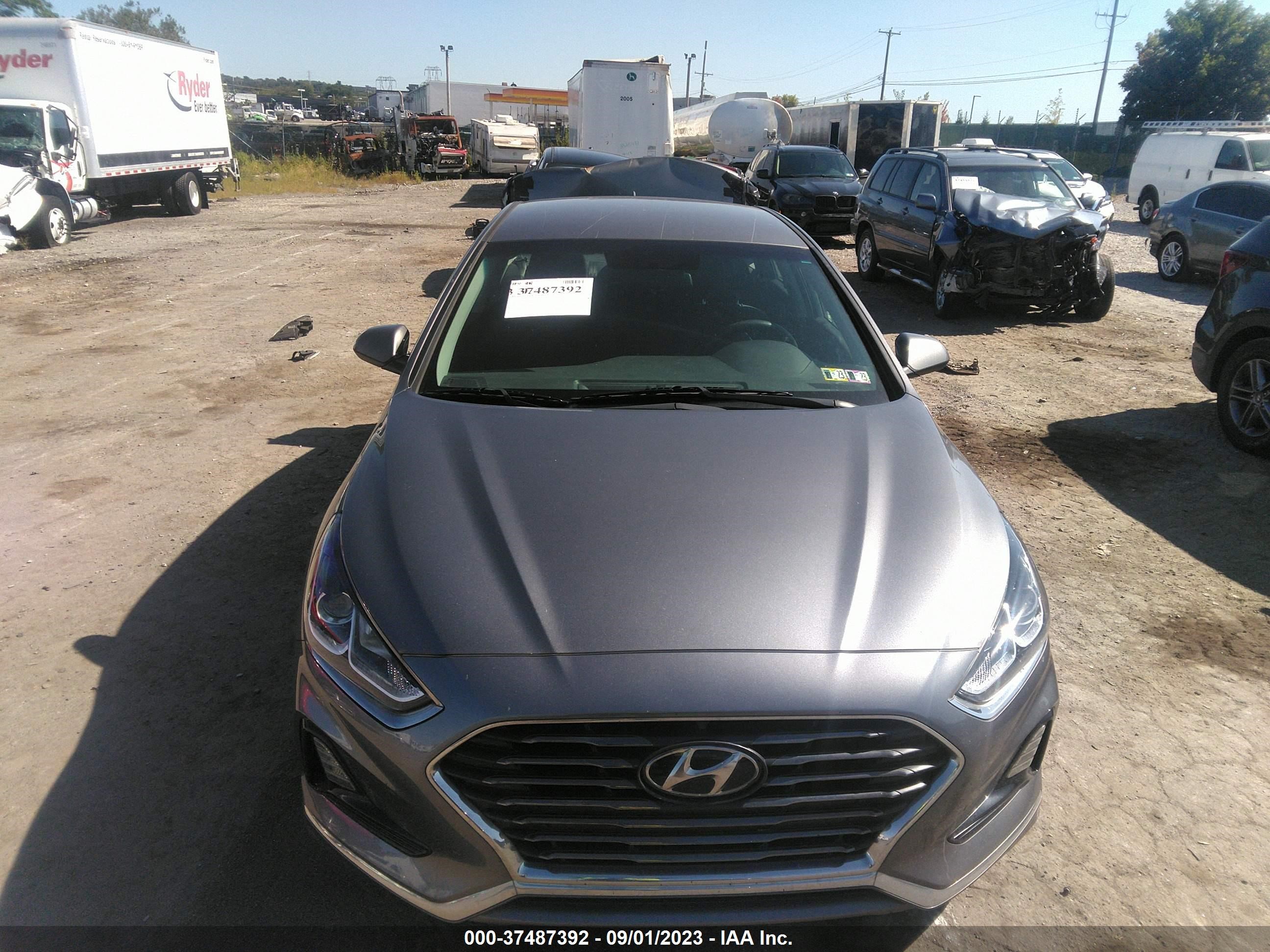 Photo 11 VIN: 5NPE24AF7KH734019 - HYUNDAI SONATA 