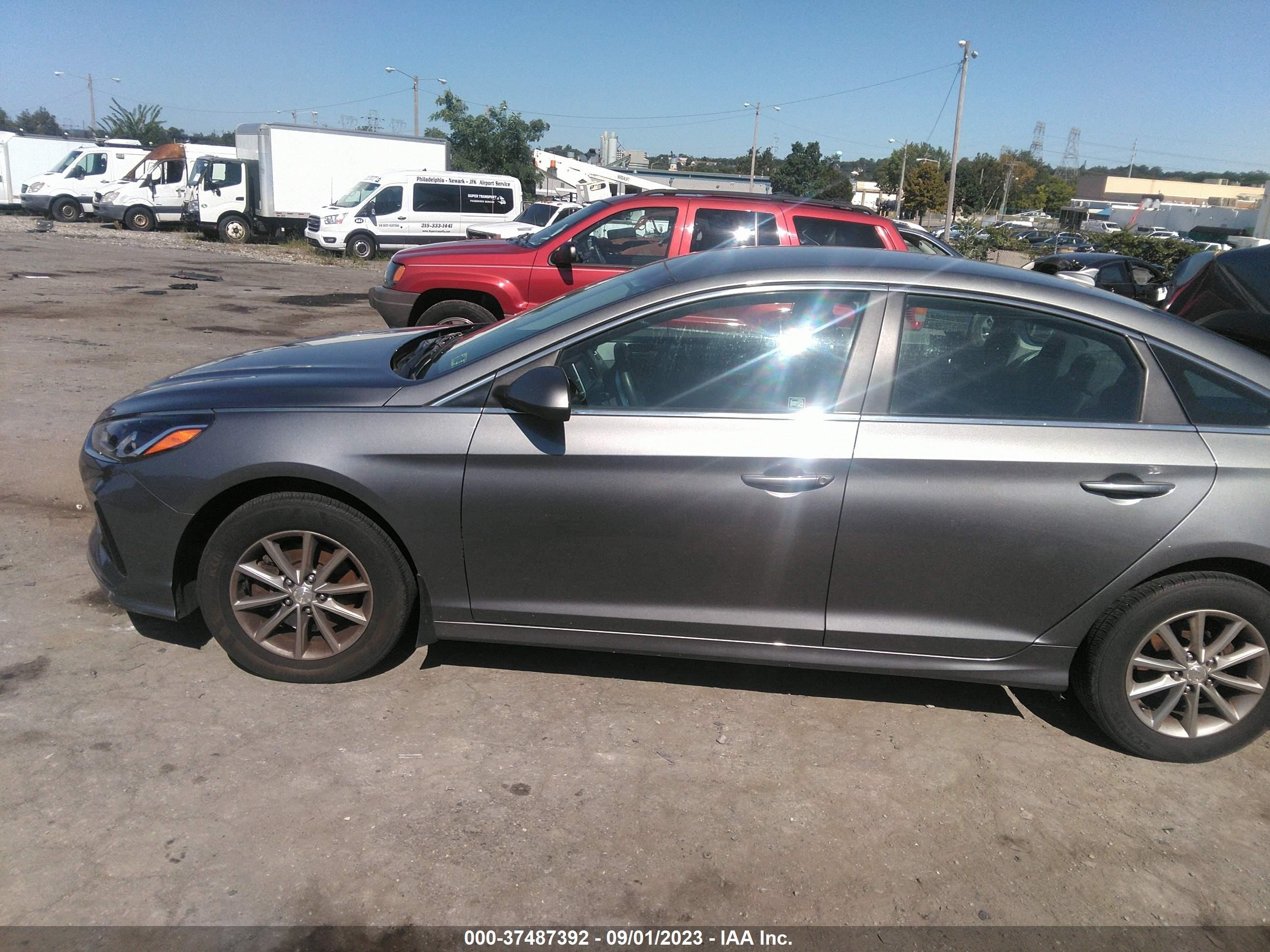 Photo 13 VIN: 5NPE24AF7KH734019 - HYUNDAI SONATA 