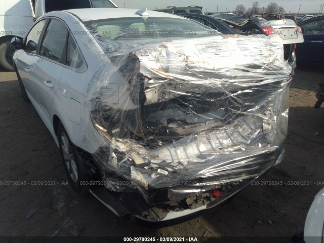 Photo 5 VIN: 5NPE24AF7KH739155 - HYUNDAI SONATA 