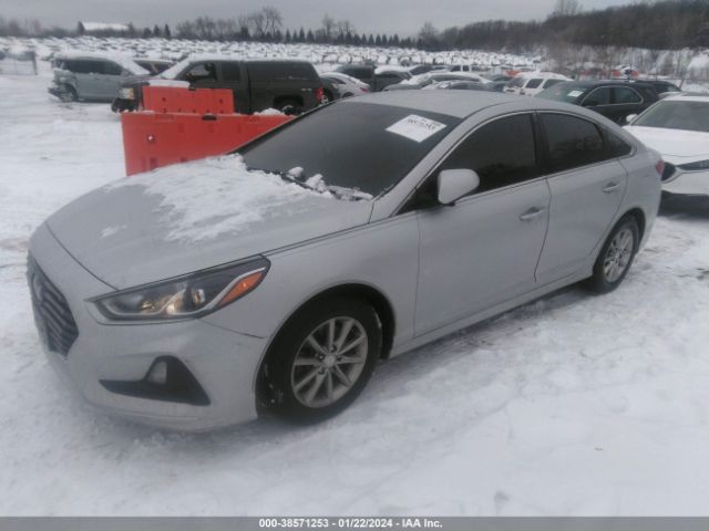 Photo 1 VIN: 5NPE24AF7KH756246 - HYUNDAI SONATA 