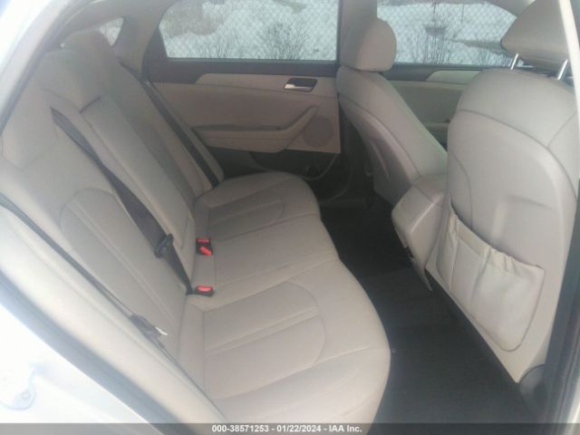 Photo 7 VIN: 5NPE24AF7KH756246 - HYUNDAI SONATA 