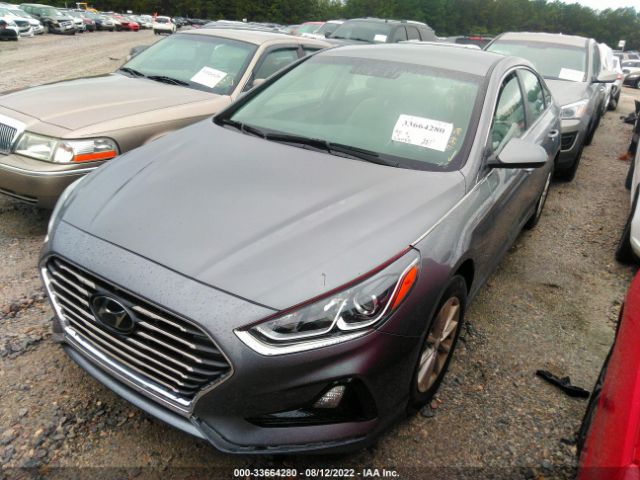 Photo 1 VIN: 5NPE24AF7KH771894 - HYUNDAI SONATA 