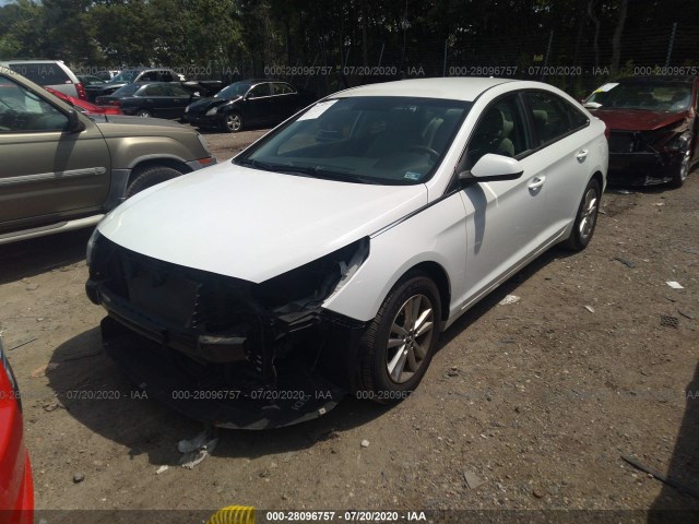 Photo 1 VIN: 5NPE24AF8FH067869 - HYUNDAI SONATA 