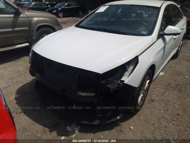 Photo 5 VIN: 5NPE24AF8FH067869 - HYUNDAI SONATA 