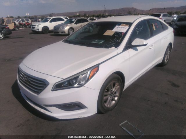 Photo 5 VIN: 5NPE24AF8FH145762 - HYUNDAI SONATA 