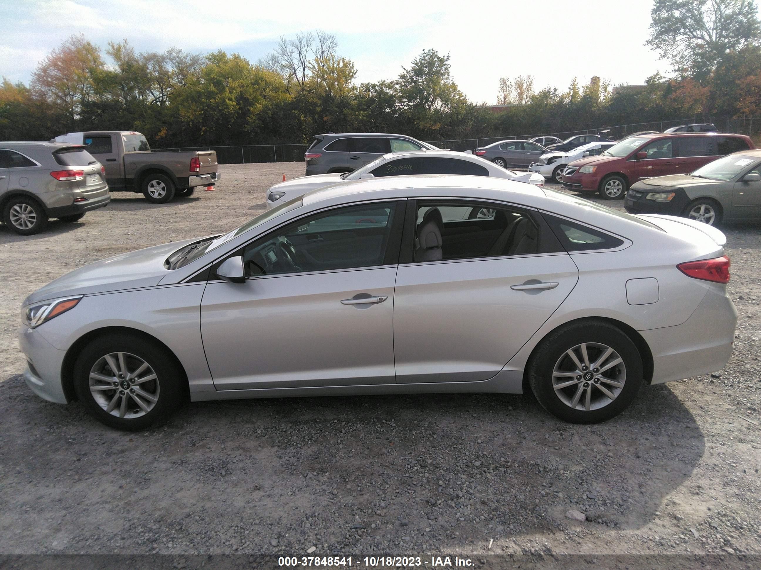 Photo 12 VIN: 5NPE24AF8FH156678 - HYUNDAI SONATA 