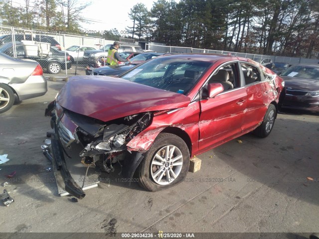 Photo 5 VIN: 5NPE24AF8FH204230 - HYUNDAI SONATA 