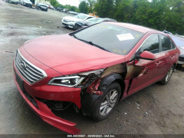 Photo 1 VIN: 5NPE24AF8FH204678 - HYUNDAI SONATA 