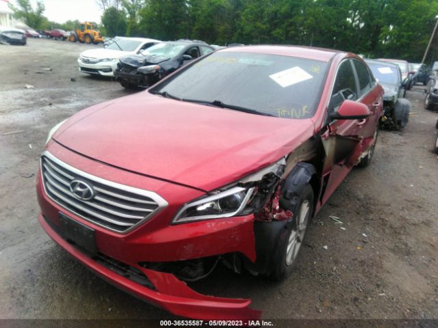 Photo 5 VIN: 5NPE24AF8FH204678 - HYUNDAI SONATA 