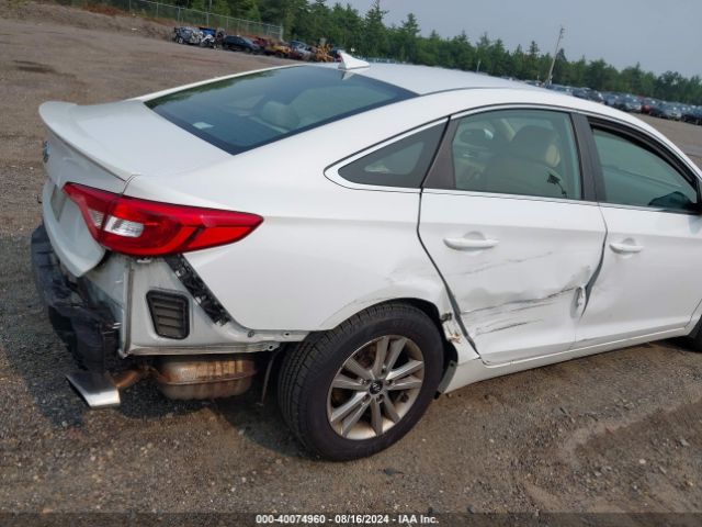 Photo 5 VIN: 5NPE24AF8FH211159 - HYUNDAI SONATA 