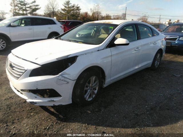 Photo 1 VIN: 5NPE24AF8FH231041 - HYUNDAI SONATA 