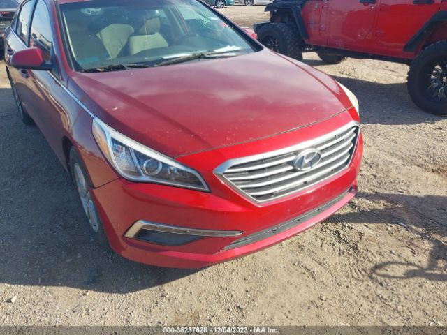 Photo 5 VIN: 5NPE24AF8FH238006 - HYUNDAI SONATA 