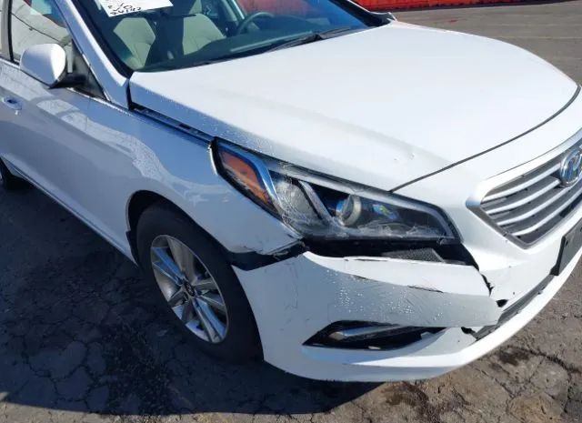 Photo 5 VIN: 5NPE24AF8FH244937 - HYUNDAI SONATA 