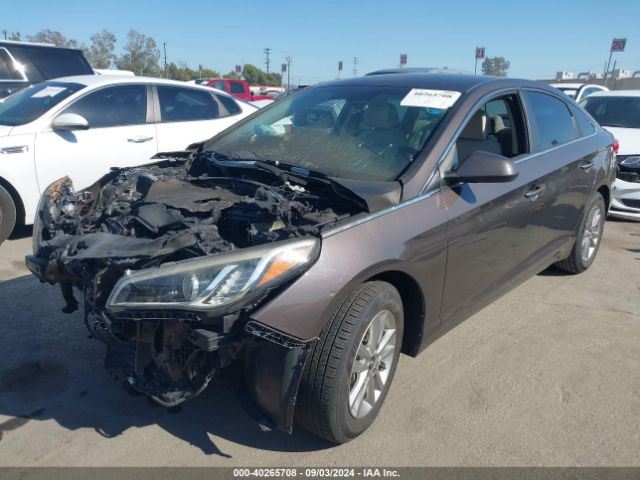 Photo 1 VIN: 5NPE24AF8GH261111 - HYUNDAI SONATA 