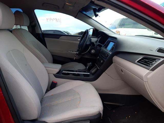 Photo 4 VIN: 5NPE24AF8GH268625 - HYUNDAI SONATA SE 