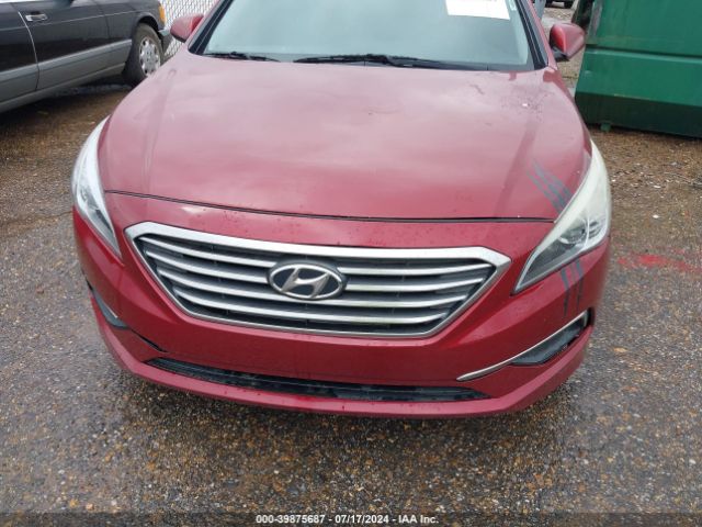 Photo 5 VIN: 5NPE24AF8GH269953 - HYUNDAI SONATA 