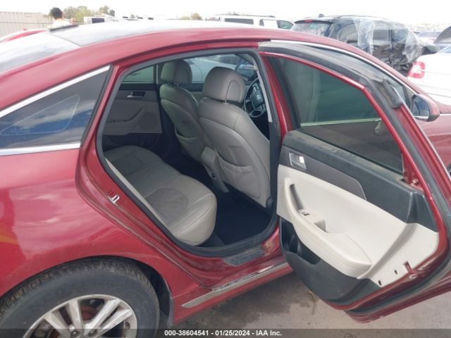 Photo 7 VIN: 5NPE24AF8GH274571 - HYUNDAI SONATA 